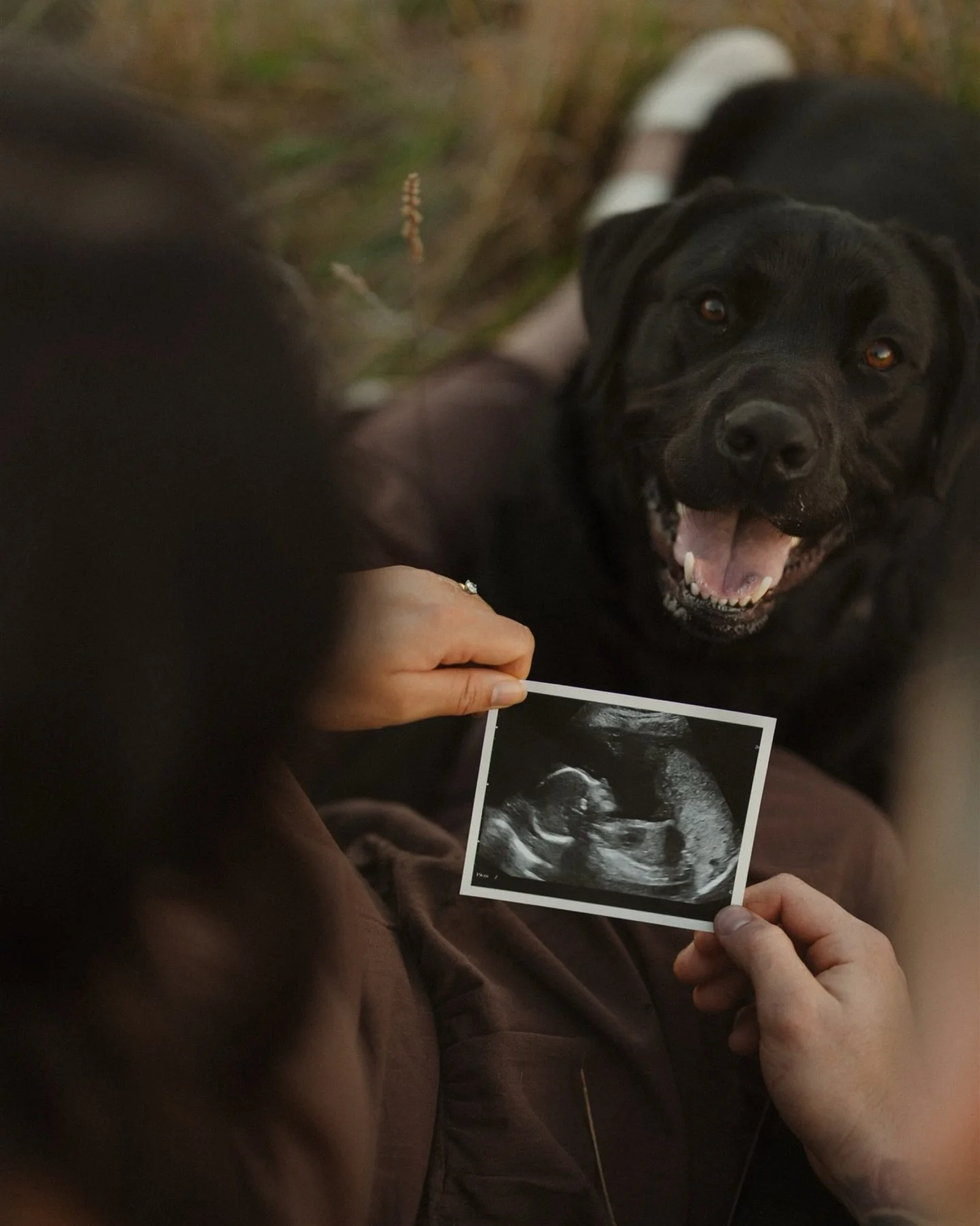 Tell me a better kind of before and after &hellip;&hellip;. because I can&rsquo;t think of one 

I asked Jake and Jordy this morning what photo I should post today &hellip;. and they both chose the puppy dog photo with a baby photo 🐶