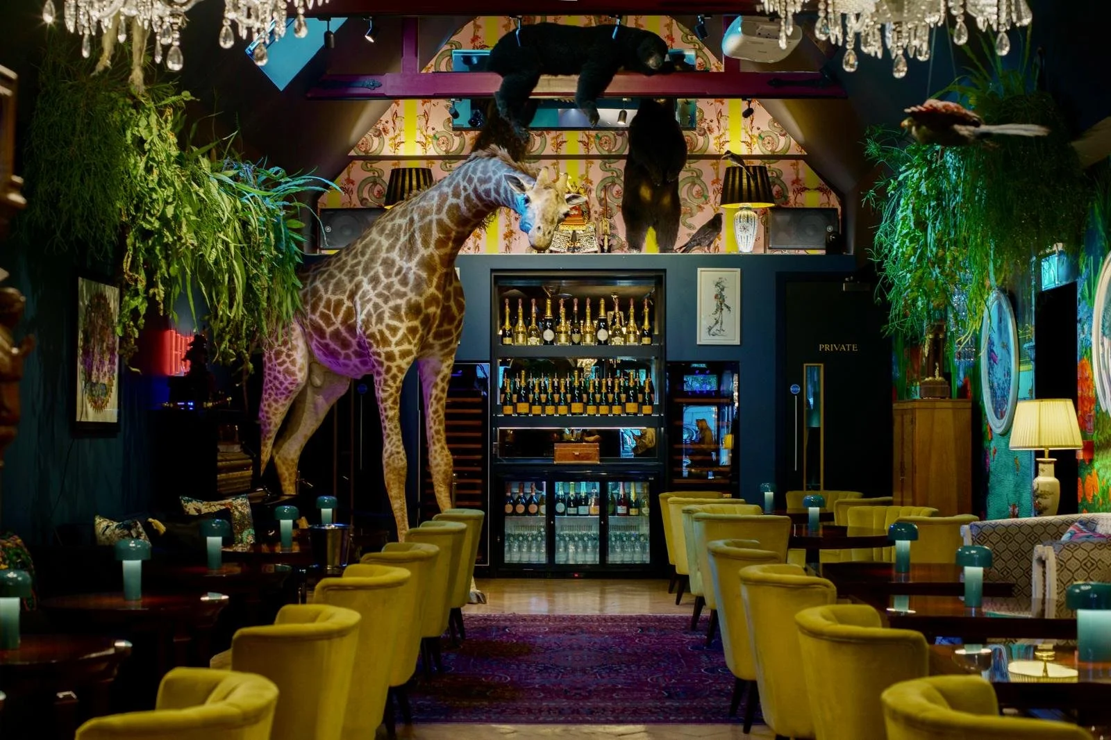 Hux Lounge with yellow armchairs, chandeliers and a giraffe display