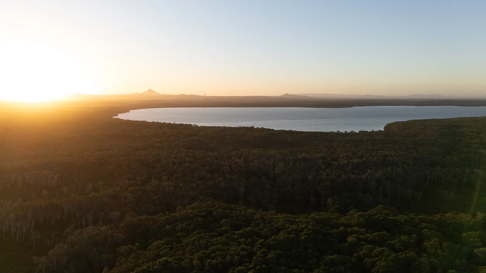 12 Lancewood Ave Peregian Springs-166 copy.webp