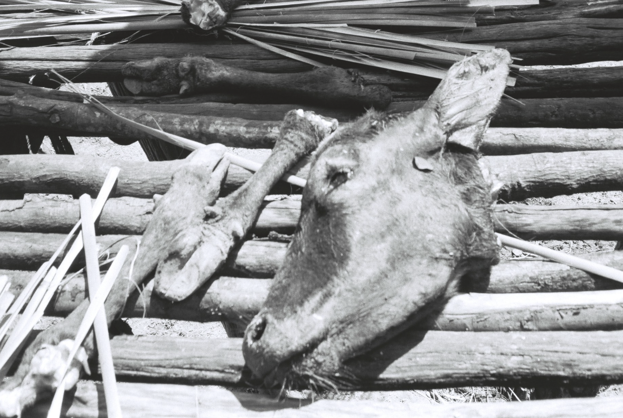 Screen Shot 2023-02-05 at 6.07.30 pm.png