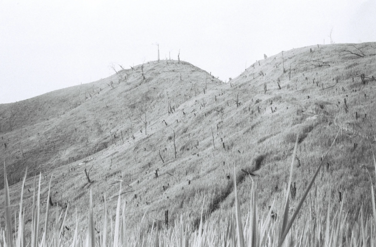 Screen Shot 2023-02-08 at 10.01.35 am.png