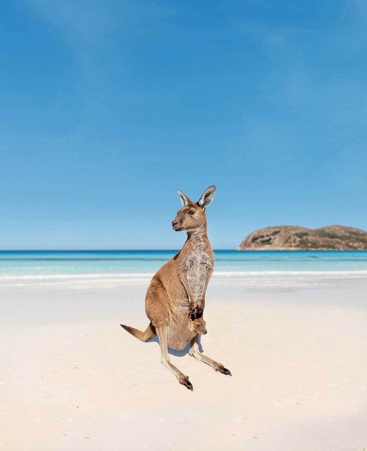 QANTAS
