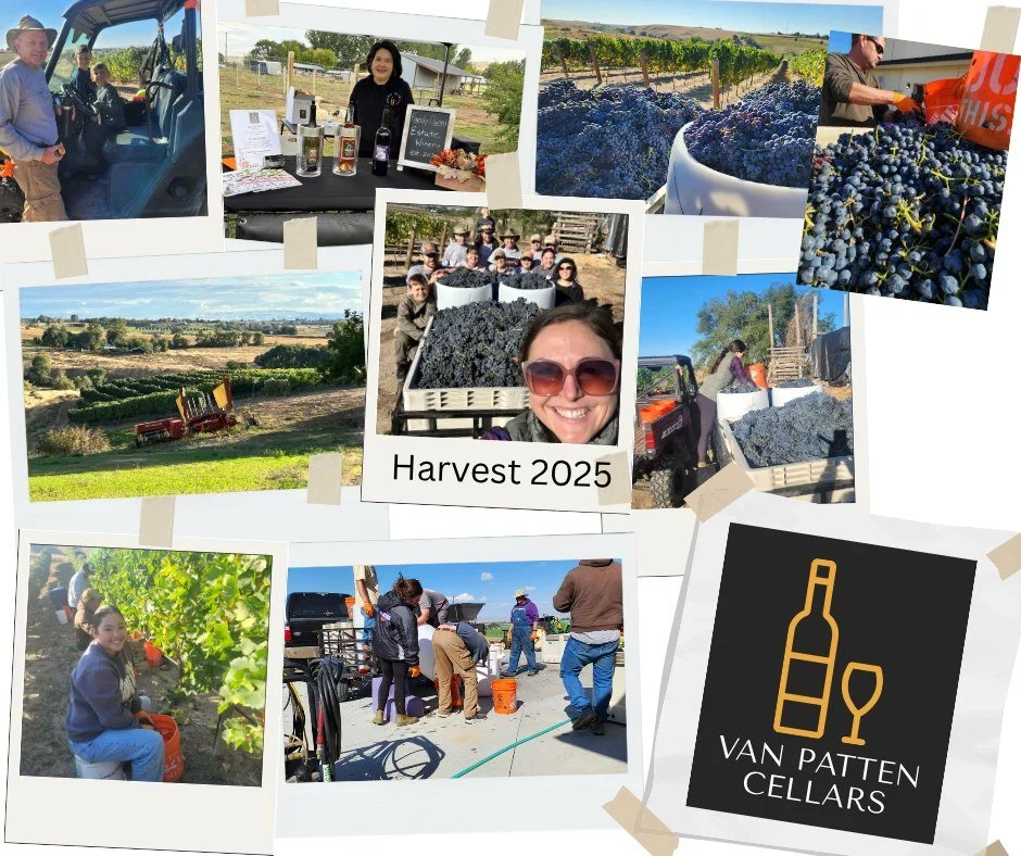 What a weekend! 🍇 Harvest 2025 is in full swing! We spent the weekend picking grapes and attending the Fall Frolic in Payette.
We&rsquo;re so thankful for our amazing friends and family who always show up to lend a helping hand &mdash; we couldn&rsq