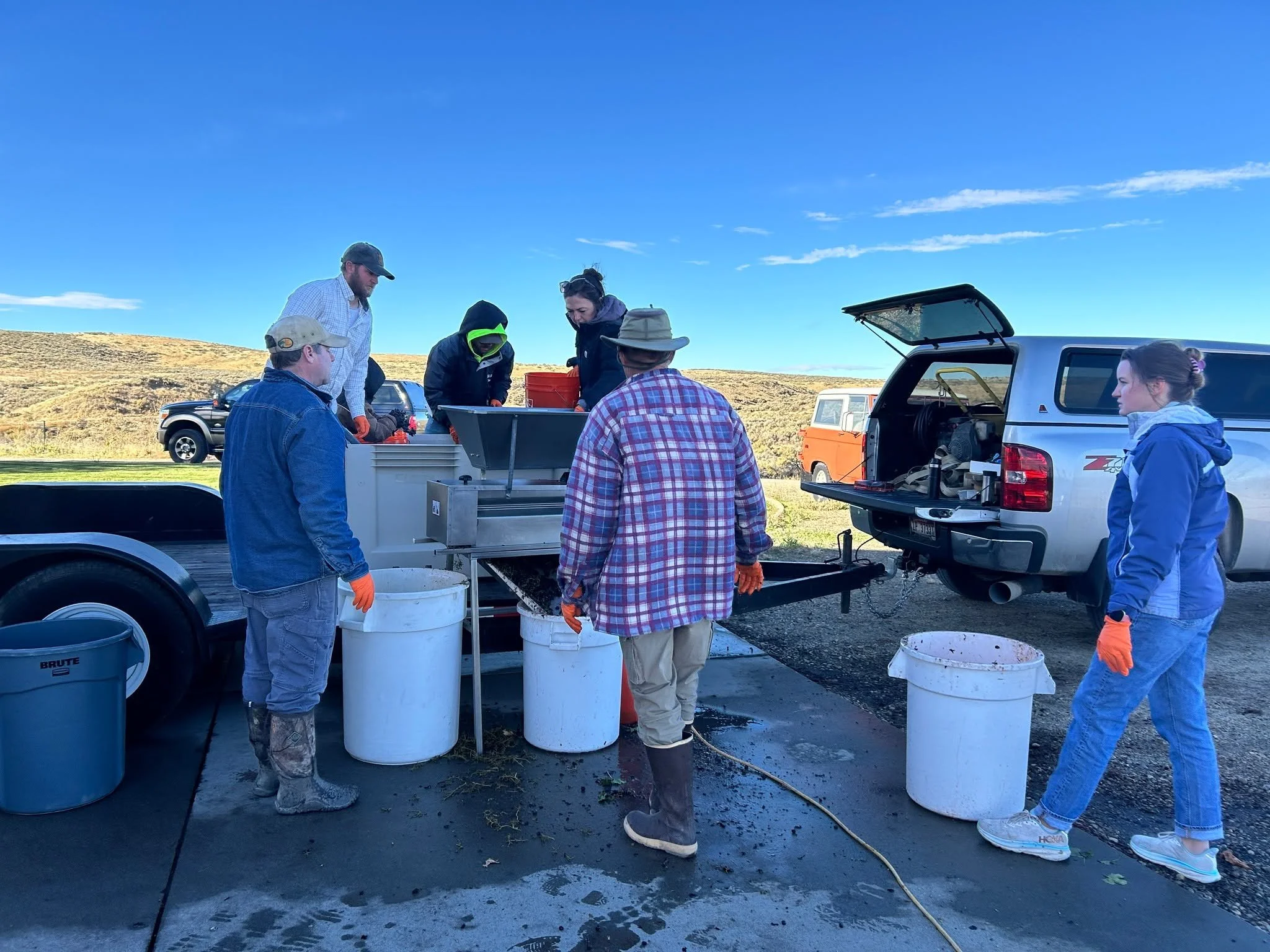 We picked the Cab Franc and the last of the Syrah this weekend! 🍇 Just waiting on the Primitivo &mdash; then harvest 2025 will be complete! Stop by Saturday, October 18th from 12&ndash;4 pm to talk all things harvest and enjoy some wine with us. 🍷
