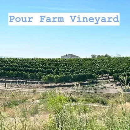 At Van Patten Cellars, all of our wines begin in our two estate vineyards&mdash;grown, cared for, and harvested by us.
Our tasting room overlooks the beautiful Wymer Vineyard, where our Chardonnay and Viognier grow. Just outside of Parma, our Pour Fa