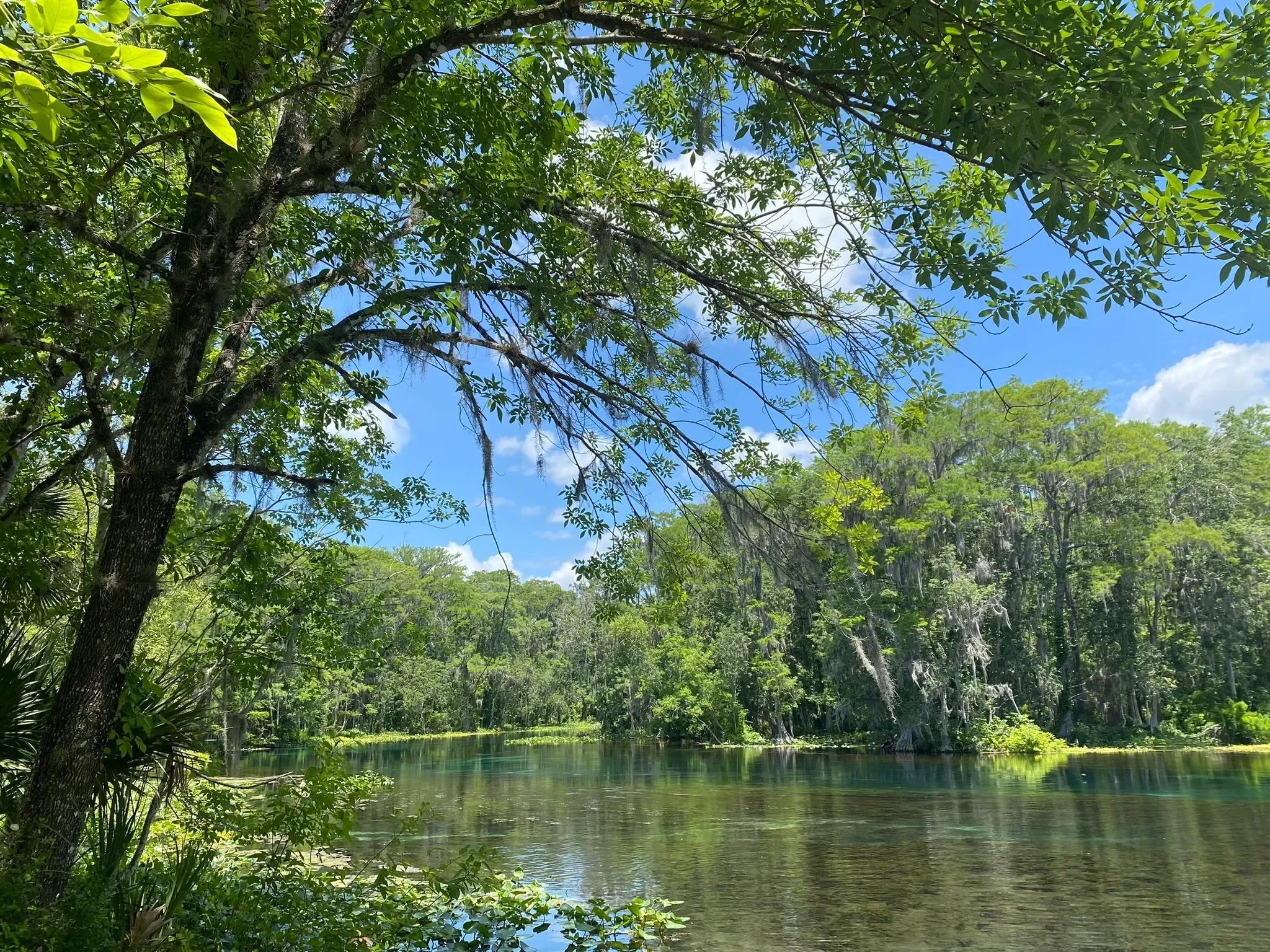 Scenic view of the Ocalala river