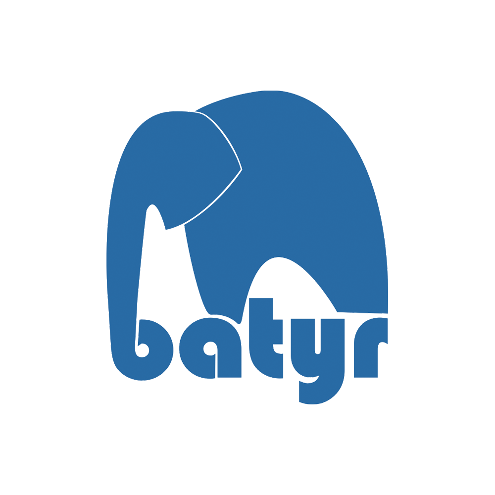 Batyr.png
