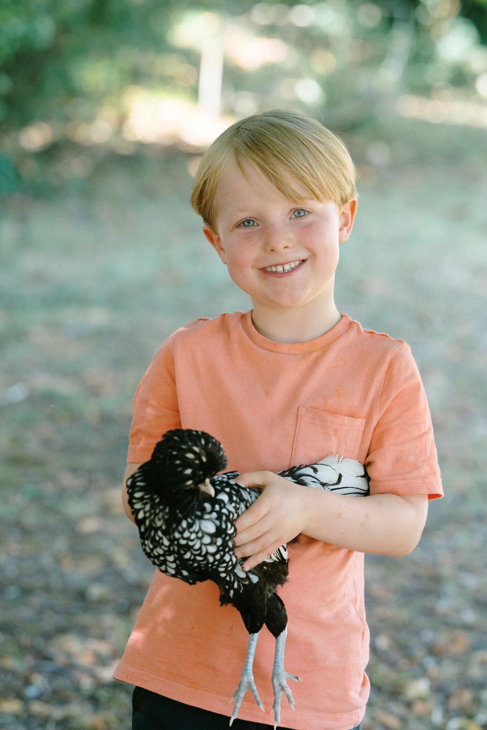 summer camp in beautiful pyrenees in south west france