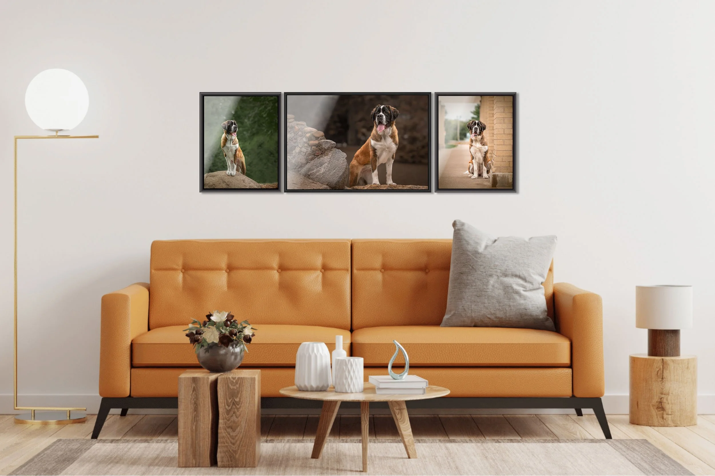 Pet Photographer artwork wall gallery Quad Cities