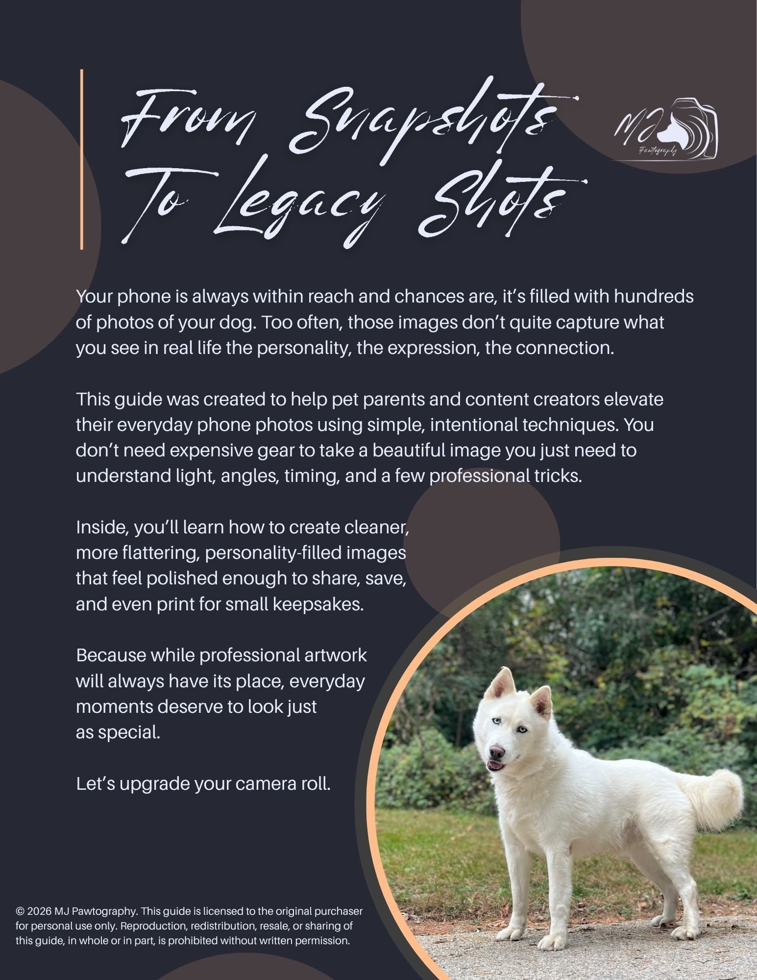 Snapshot to Legacy Shot Guide .jpg