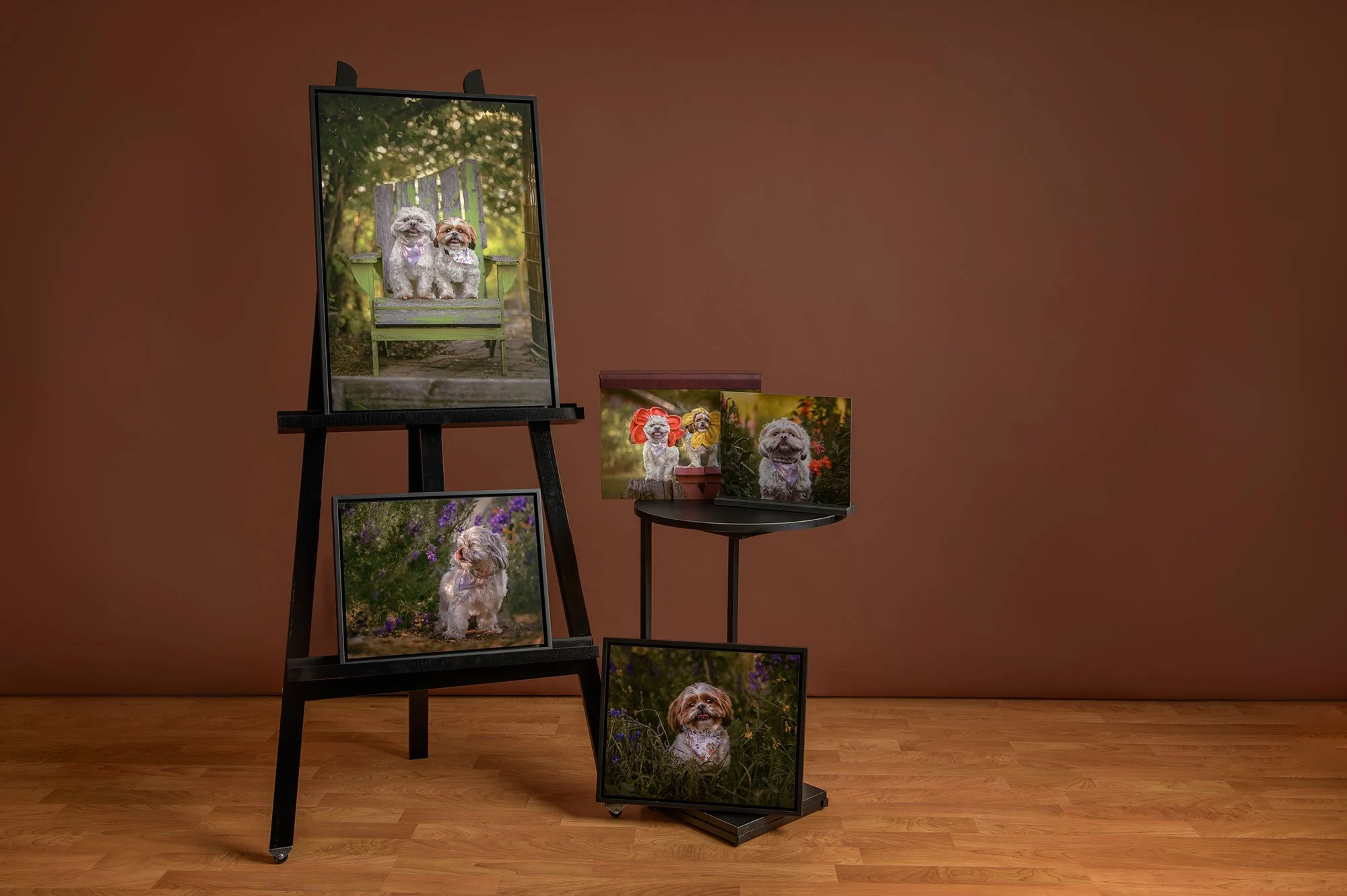 Pet Photography Quad Cities Client Artwork