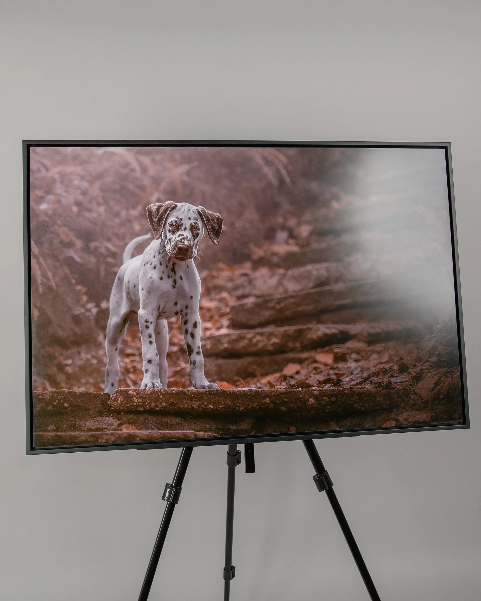 Framed Aluminum - Portrait.jpg