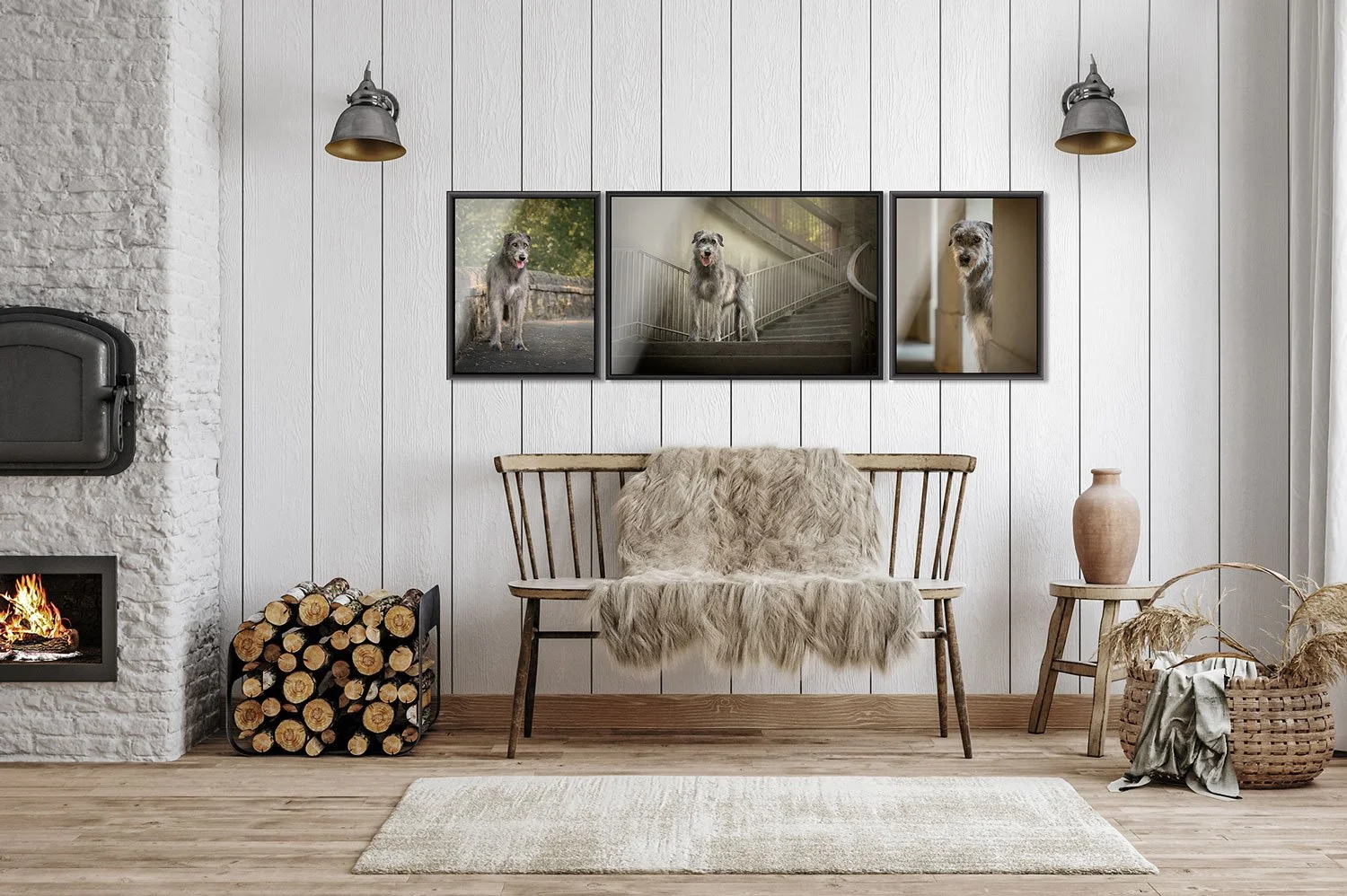 Dog Photographer Quad Cities Artwork Wall gallery