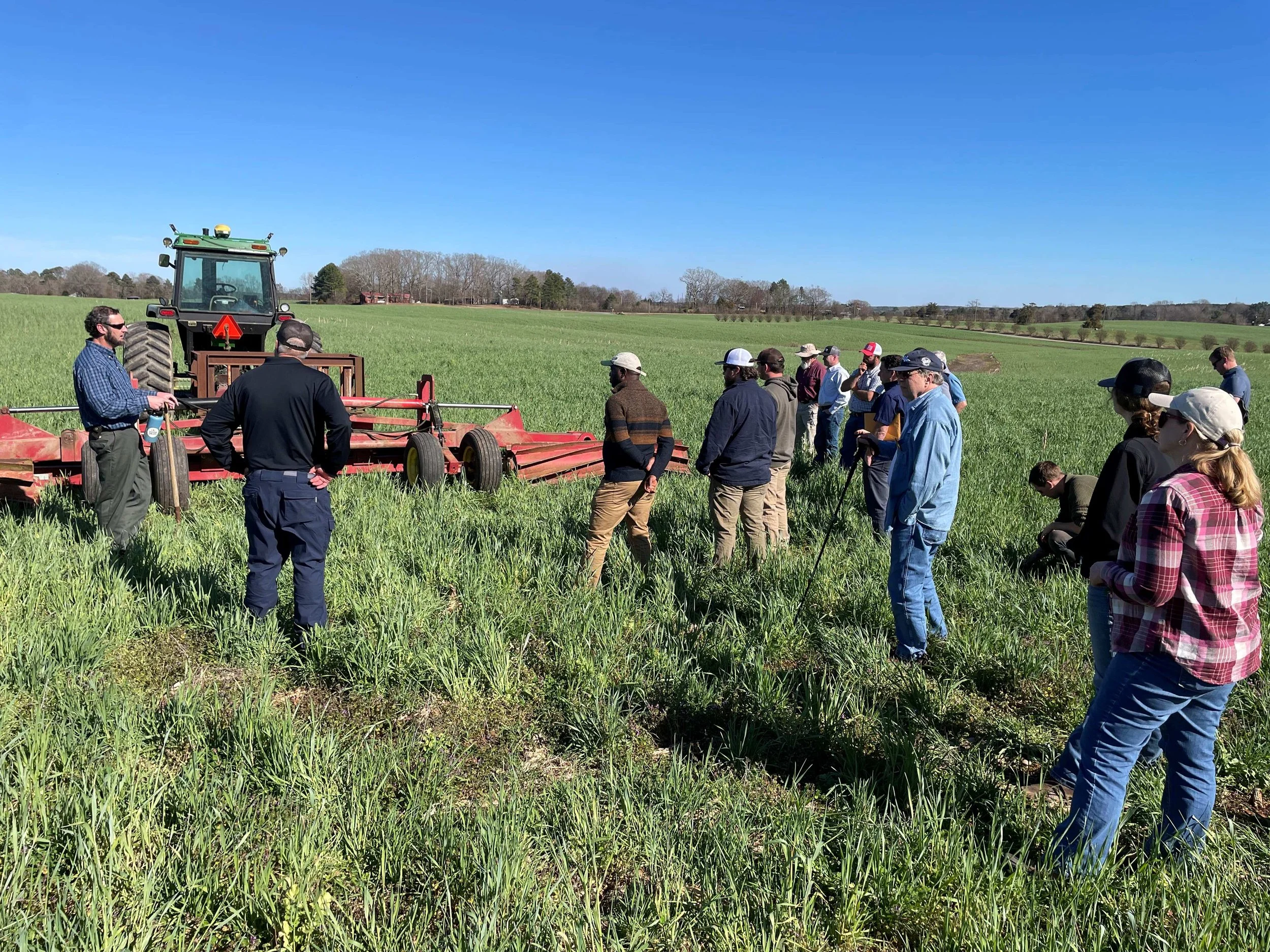 Using Warm Season Cover Crops to Boost Soil Health and Profitability