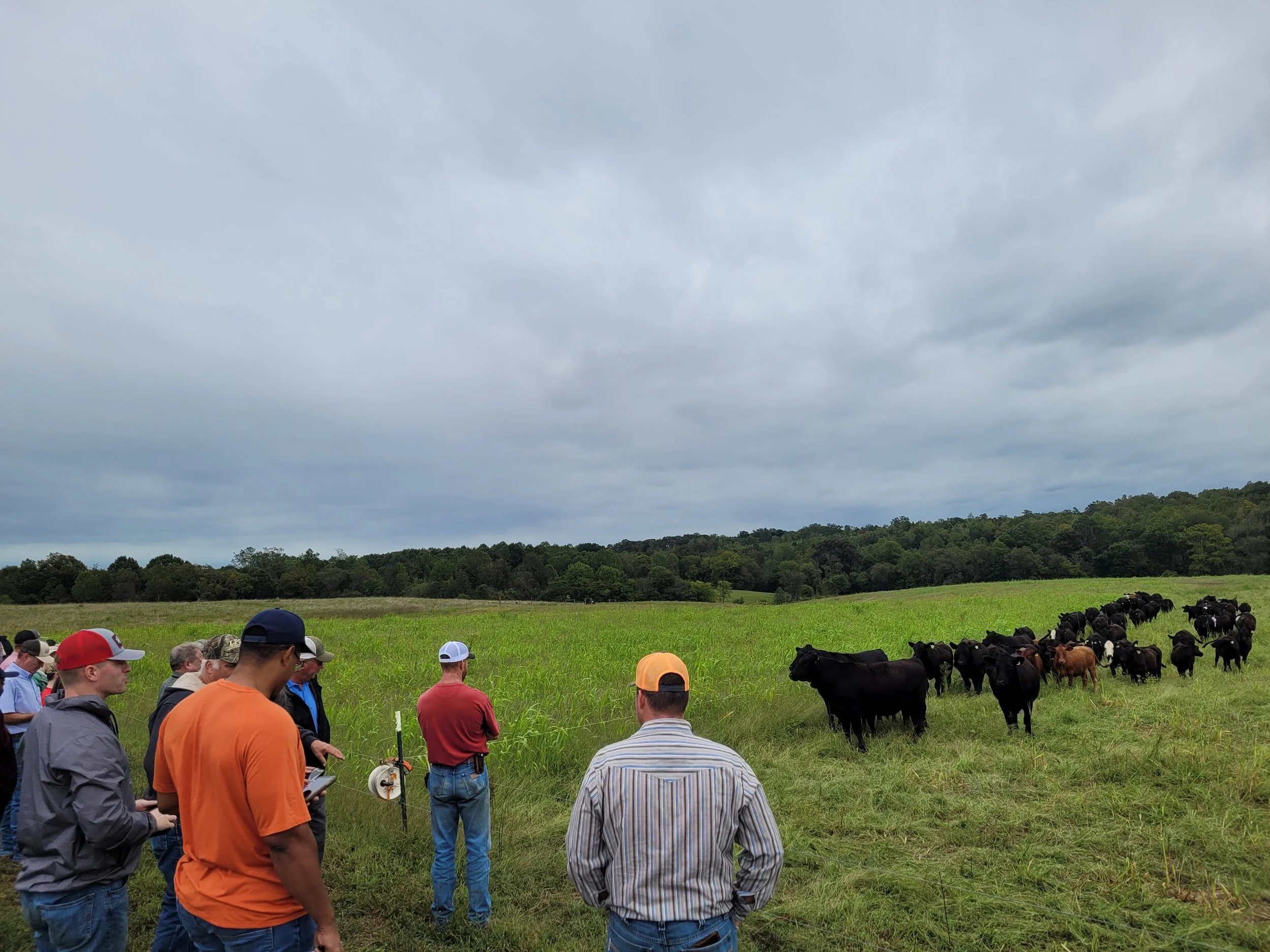 NC Forage & Grassland Council Winter Conference