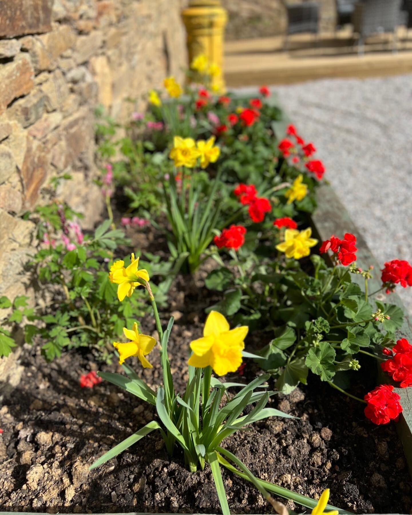 Beautiful sunshine and pretty spring flowers, the @gitedupacha and @chateaudebonneval wish you a happy Easter weekend 🐣 ☀️ 

The sun is shining and Spring flowers blooming! 
Happy Easter weekend to all of you from @gitedupacha and @cha