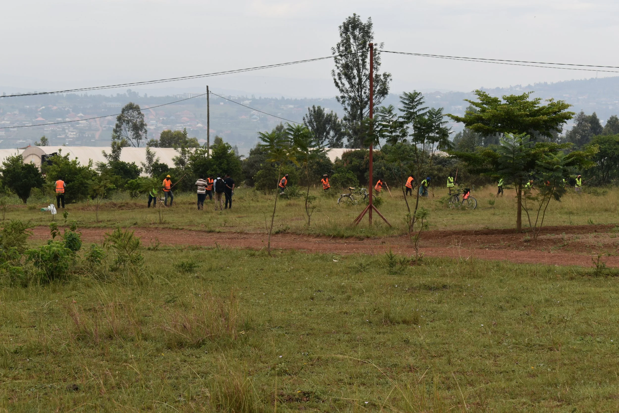 travaux DSC_0548.JPG