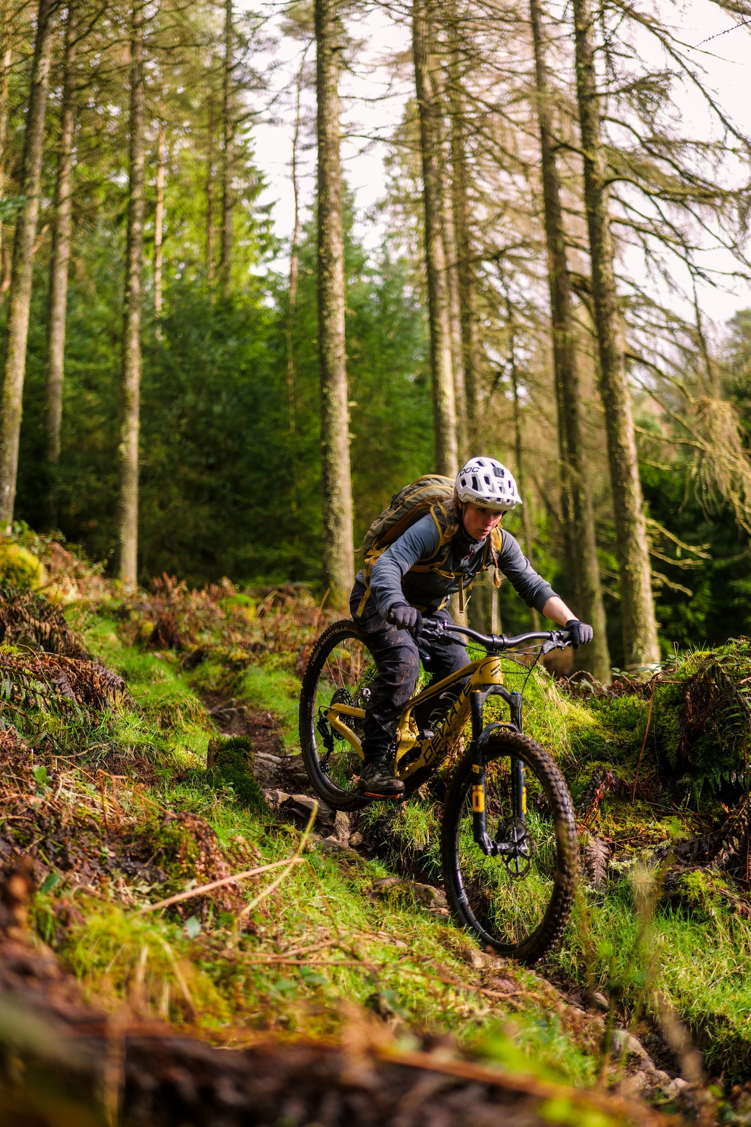 Intermediate MTB Course at Glentress