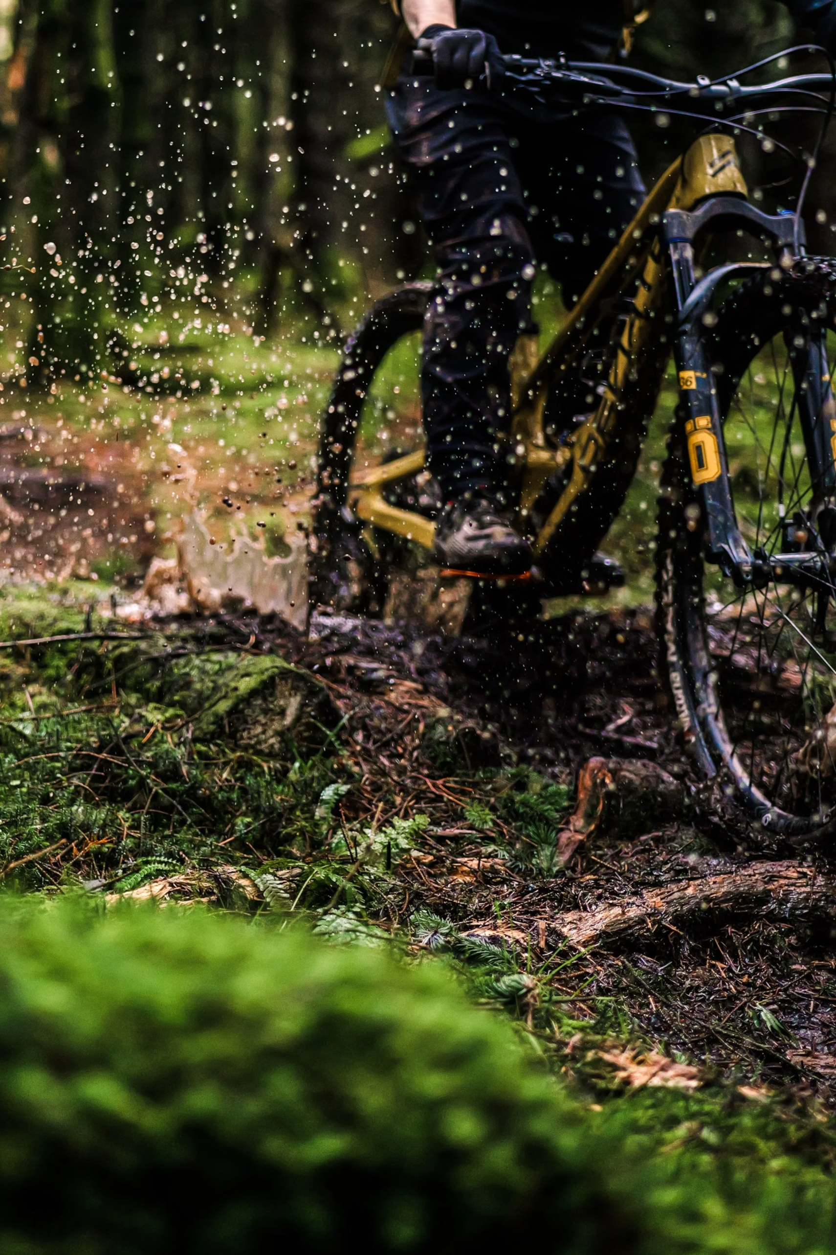 Intermediate rider practicing winter MTB skills on roots and corners at Innerleithen Mountain biker navigating technical winter trail with wet roots