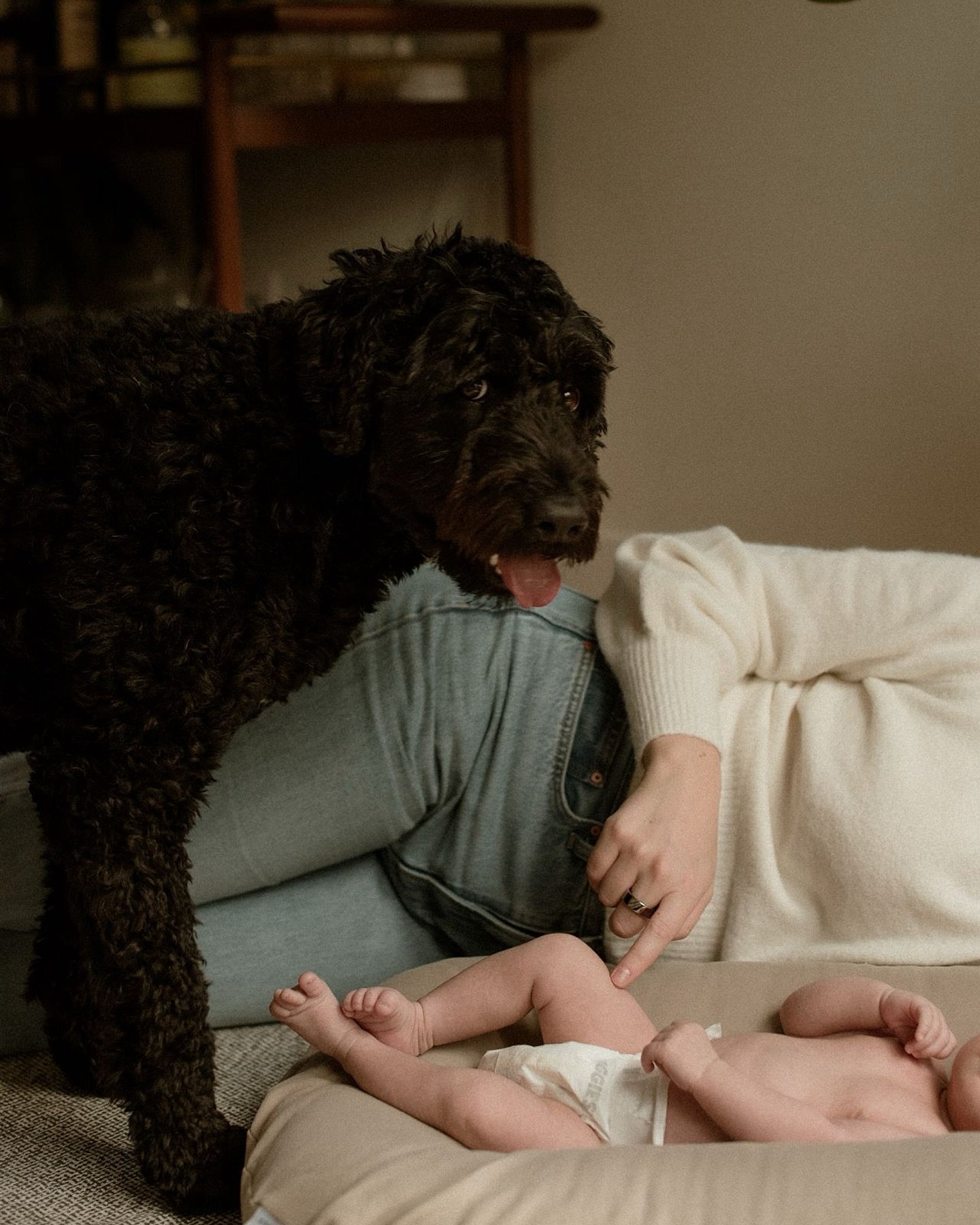I don&rsquo;t know whether pets or babies end up being the real star of family sessions but here&rsquo;s your reminder that I photograph more than weddings! 🫶