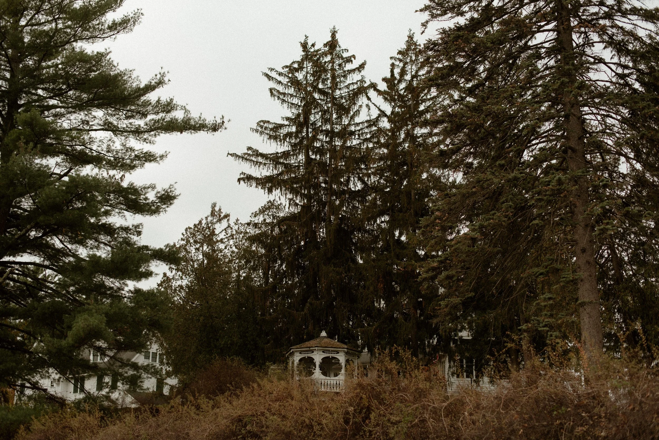 DSC_1854-1.jpg