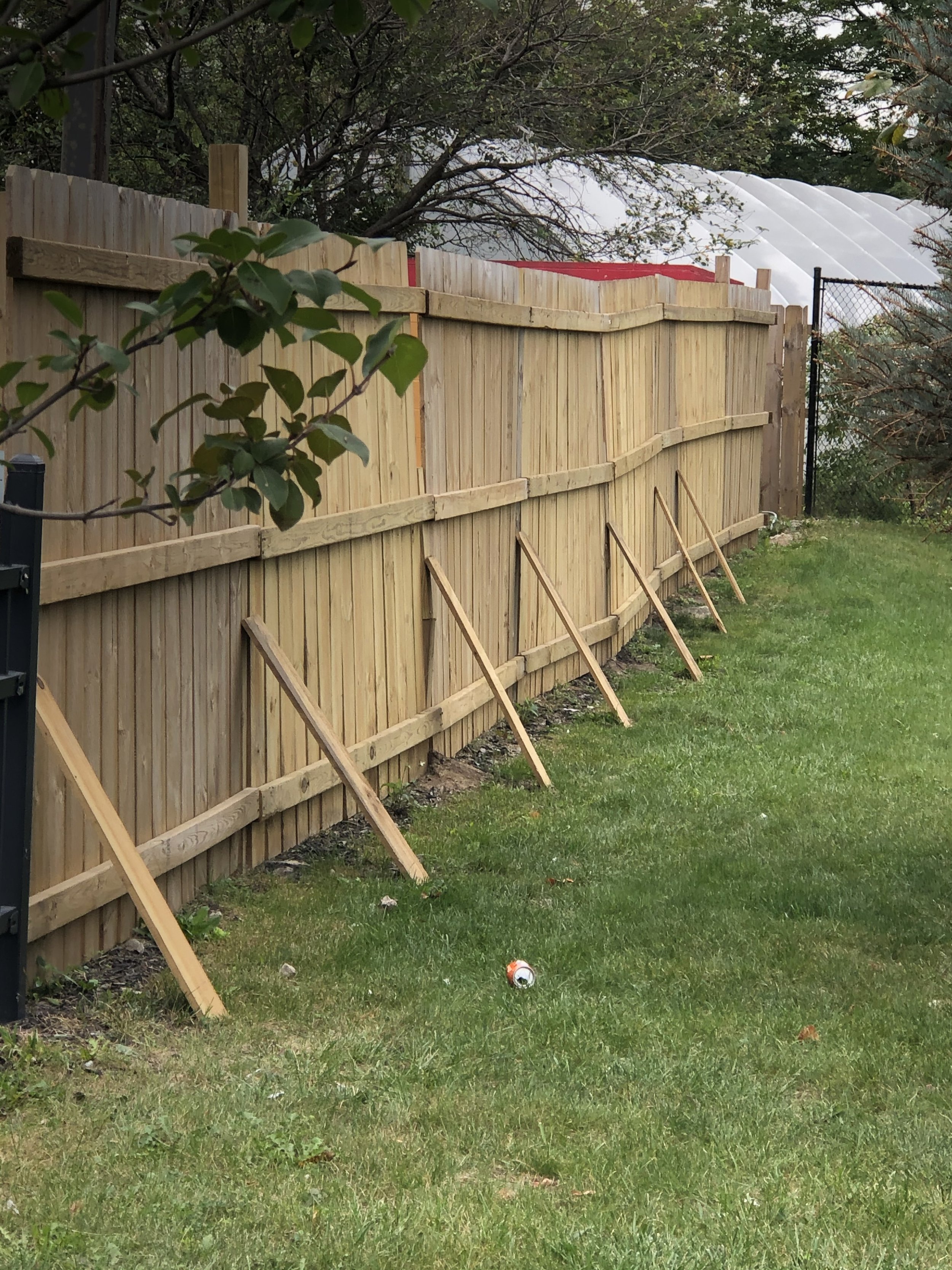 fence 2.jpg