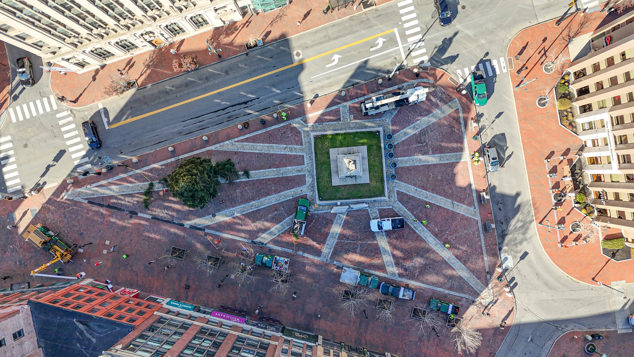 Acorn Eng COMB Tree Photos (14).JPG