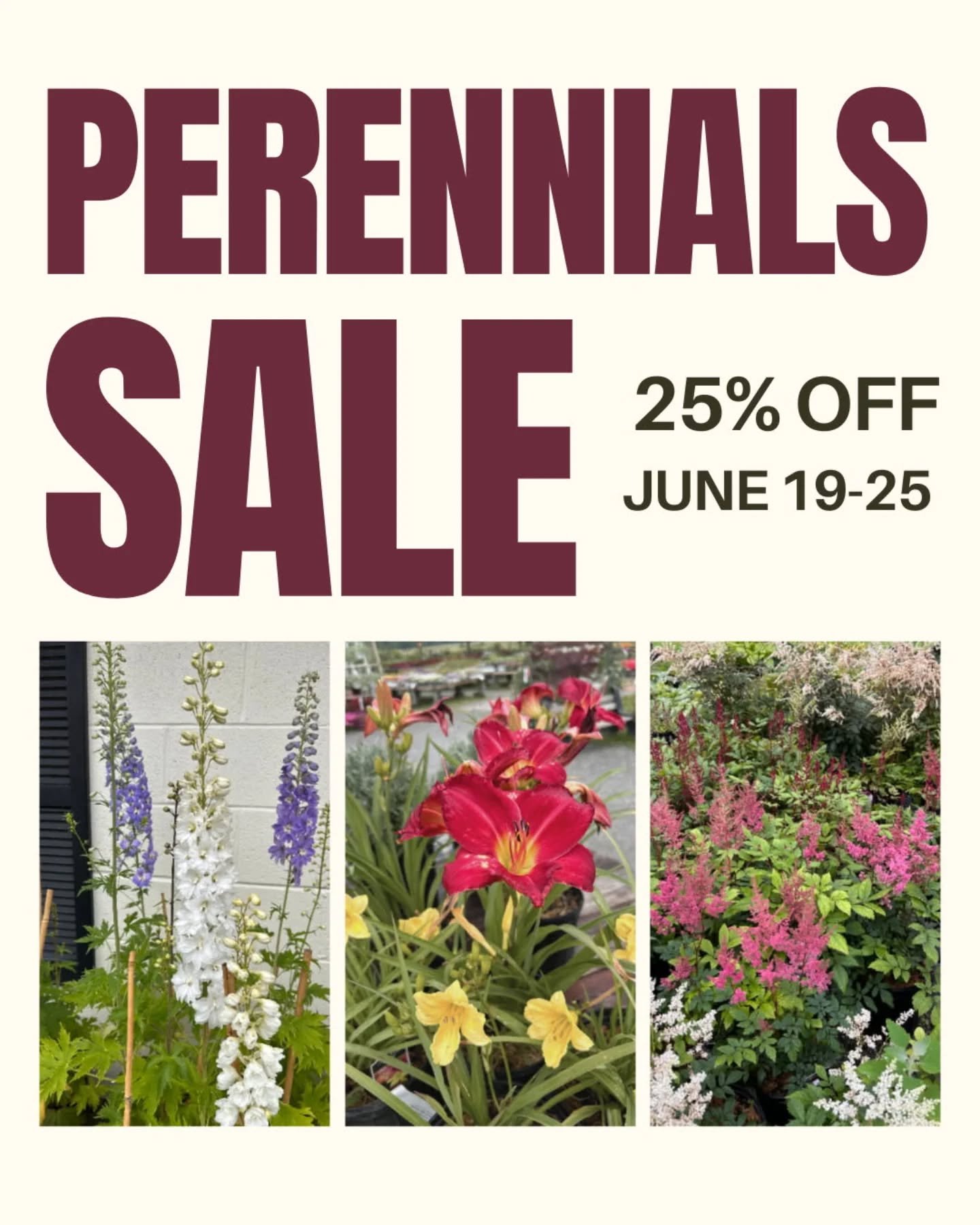 If you've been on the hunt for a great perennial to add to your garden, now is a great time to stop by and browse our selection! All perennials are 25% off through June 25! We'd love to help you pick out the perfect plant to round out your landscape.