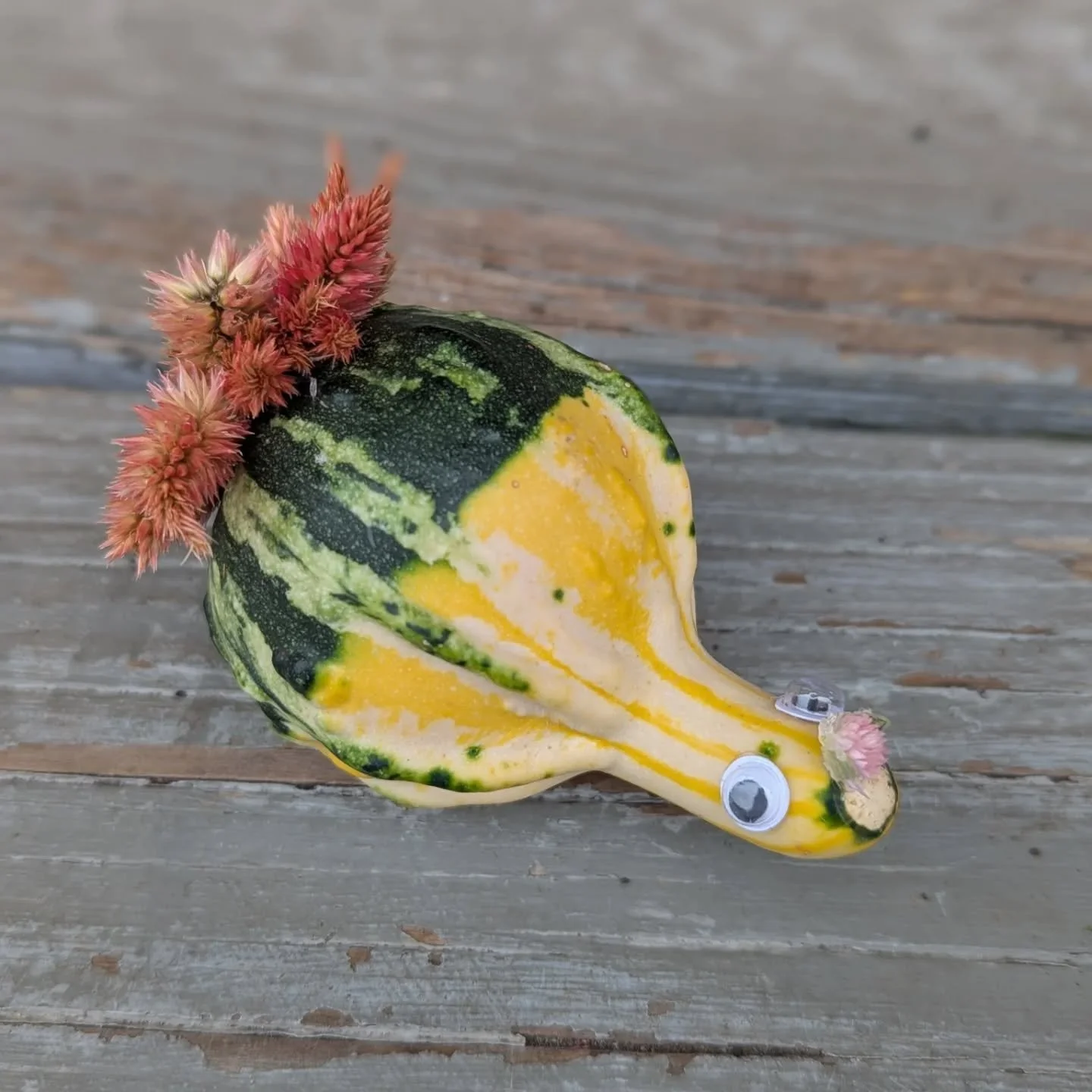 Having some fun with fall decorations 🍂