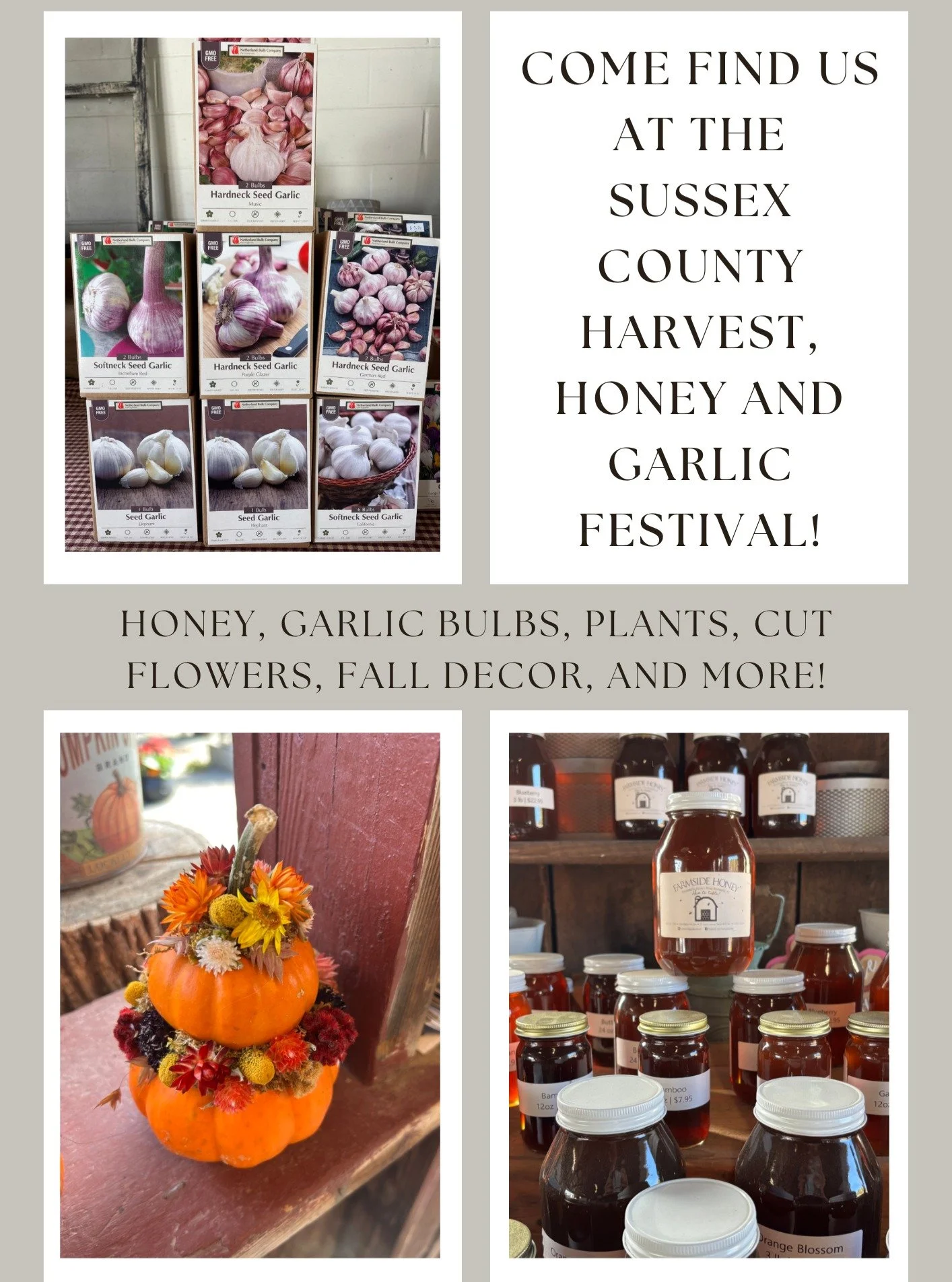 We're excited to attend the @harvesthoneygarlicfestival tomorrow at the Sussex County Fairgrounds! Come find us for: 
- Eucalyptus bunches
- Fall decor including dried flower pumpkins, gourds, pumpkins, and Indian corn,
- Houseplants and succulents
-