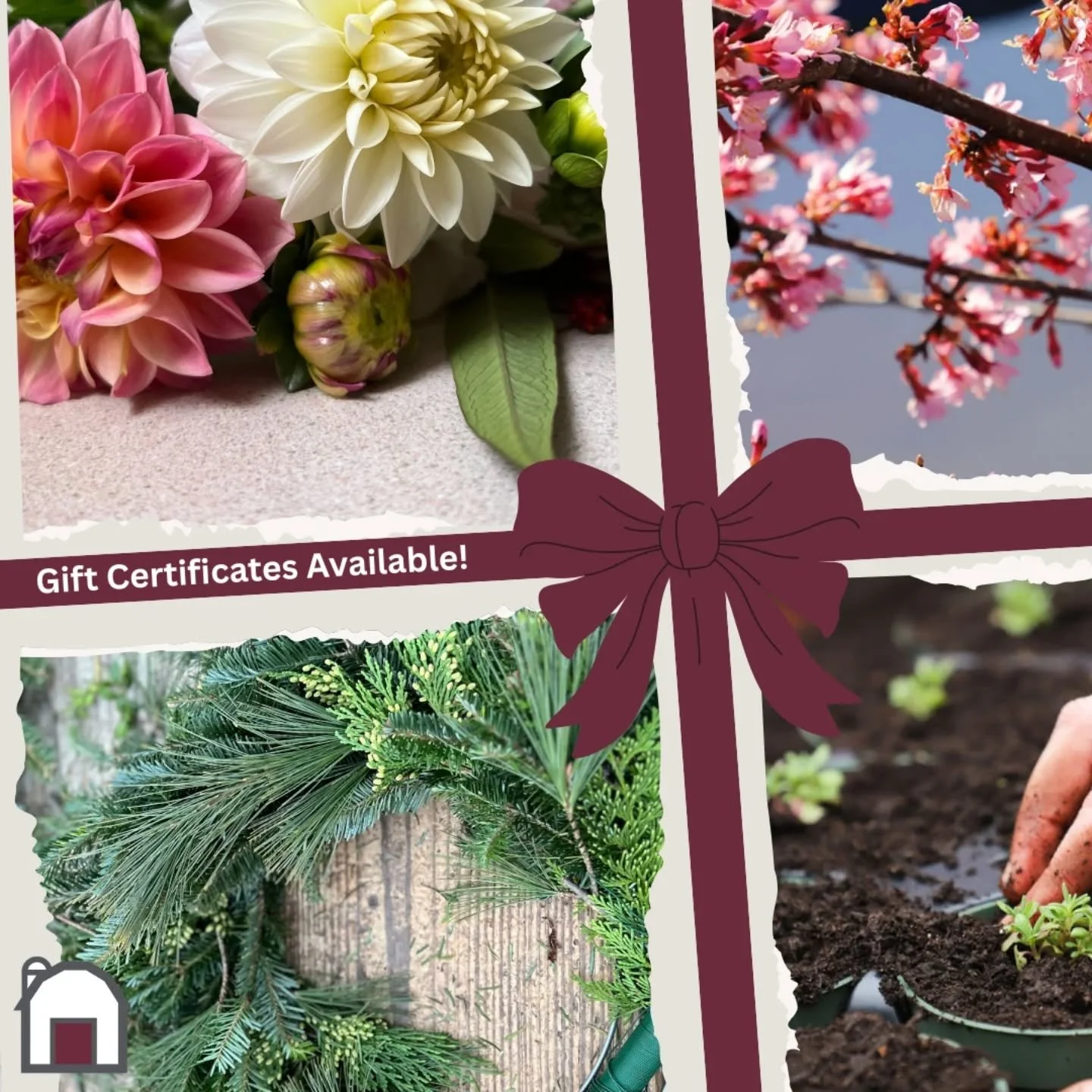 Farmside gift certificates are a great gift for just about anybody! With their gift they can: 
🪴 Pick out a new houseplant!
💐 Get a beautiful bouquet, just because! 
🌱 Start their garden in the spring!
🌳 Plant a tree or perennial!
🌲 Order custom