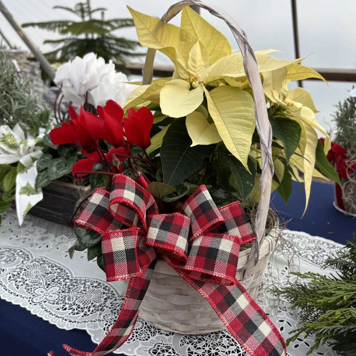 Heading to a party this weekend? Bring the hostess a gift! Decorative holiday baskets are available now. Come browse what's available or call to place a custom order!