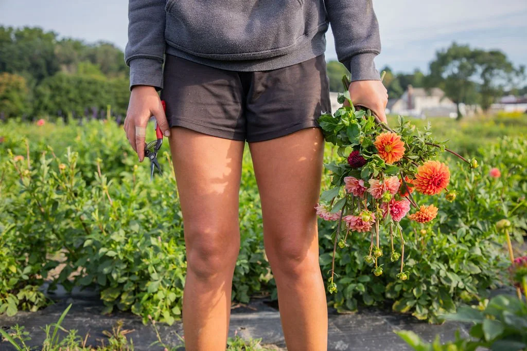 These days are dark and cold. The greenhouses are quiet, the fields dusted with snow. We&rsquo;re taking some time to recharge and prepare for the growing season ahead. And while the sleepy winter season can feel long and dull, there&rsquo;s somethin