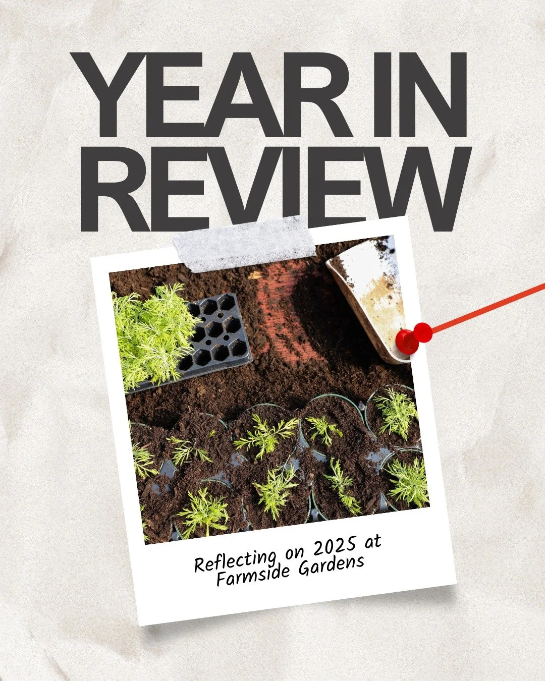 If you've driven past the garden center in the last few weeks, it looks pretty quiet. But in reality, there's a lot happening behind the scenes to prepare for 2026! We've been looking back at 2025, reflecting on some of the great moments, and making 