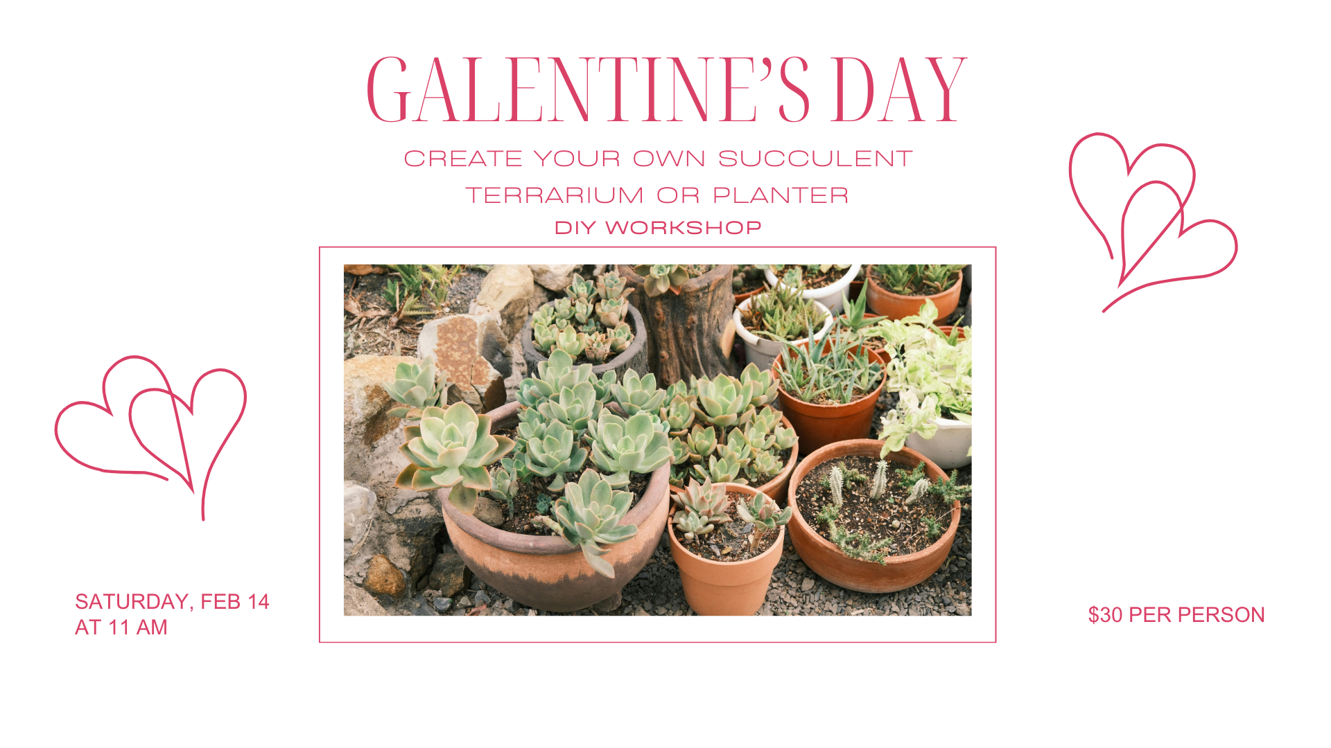 Galentine's Day Succulent Terrarium Workshop