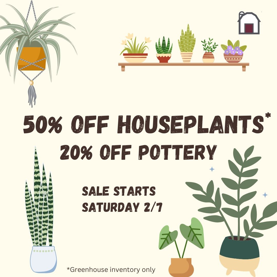 Very few signs of life outside these days, but that doesn't have to be the case in your home! Our greenhouse inventory of houseplants is 50% OFF starting tomorrow (Sat, 2/7)! Come pick up a new plant to liven up this extra chilly weekend! 🌞
