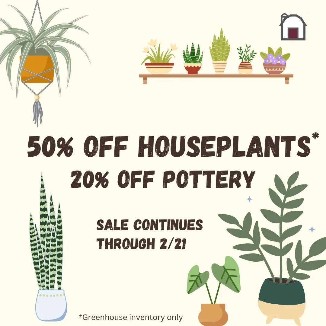 Feels a little like spring today! Get that green thumb back to work and pick up a new houseplant! Our greenhouse inventory is on sale through Saturday, 2/21!