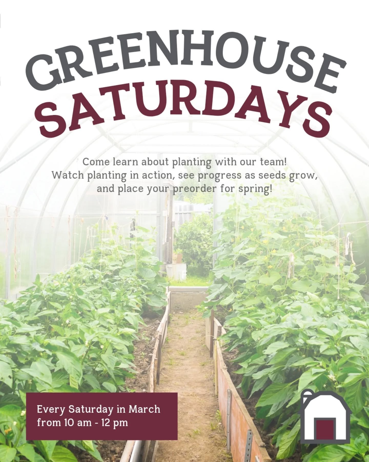 You're invited to Greenhouse Saturdays! 

Join us every Saturday in March from 10-12 for a step inside our greenhouse and a behind-the-scenes look at how we're planting and prepping for spring.

Our team will be on hand to answer all your gardening q