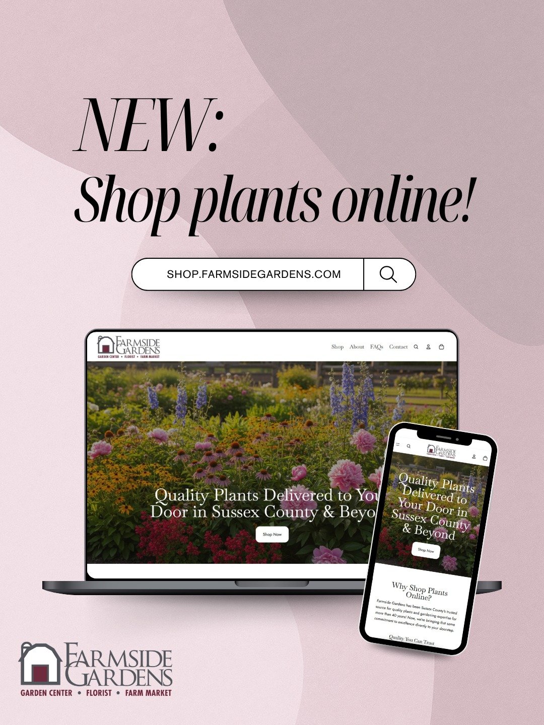 Our Online Plant Shop is Now Open! 

For over 40 years, you've trusted Farmside Gardens for quality plants and expert advice at our Sussex location. Now, we're bringing even MORE varieties through our online shop! 

While we'll always carry one of th