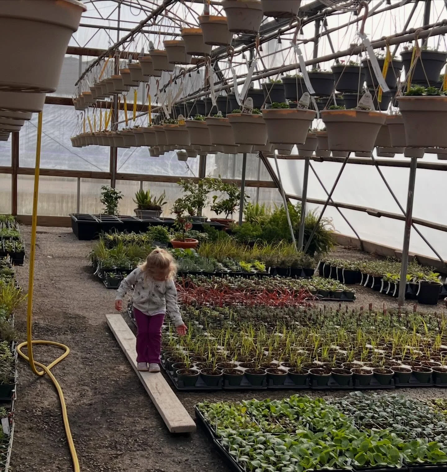 Tiny hands tending 🌱
The smallest beginnings often grow into the most beautiful things&hellip;

#greenhouse #gardencenter #gardencenterlife #sussexcountynj