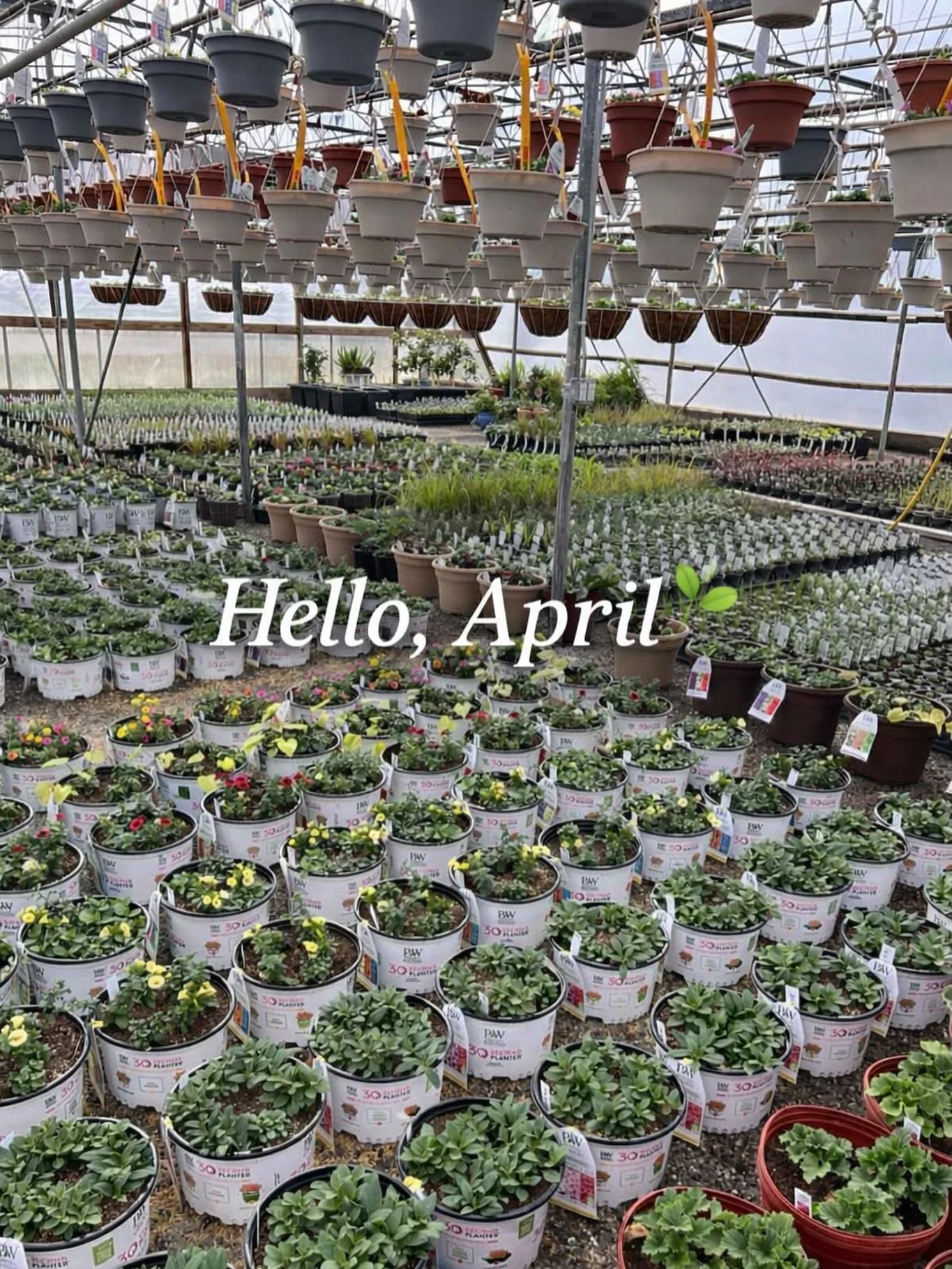 No joke&hellip; the greenhouse is full of life 🌿