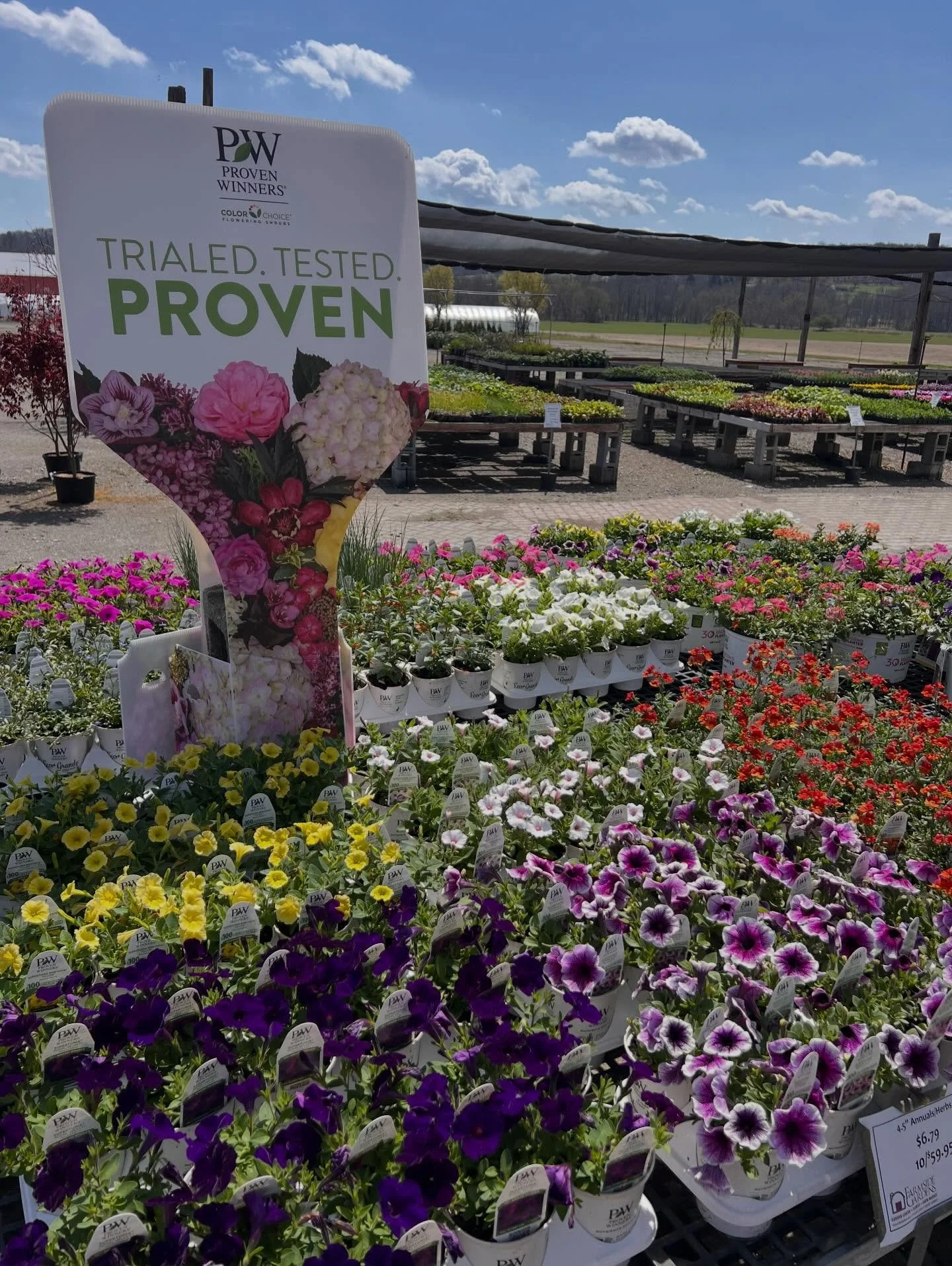 Saturday sun is shining, plants are thriving, and it&rsquo;s the perfect day to wander and find something beautiful to take home 🌸

From vibrant annuals to lush houseplants, everything is looking so good right now!!!!!

✨Earth day celebration starts