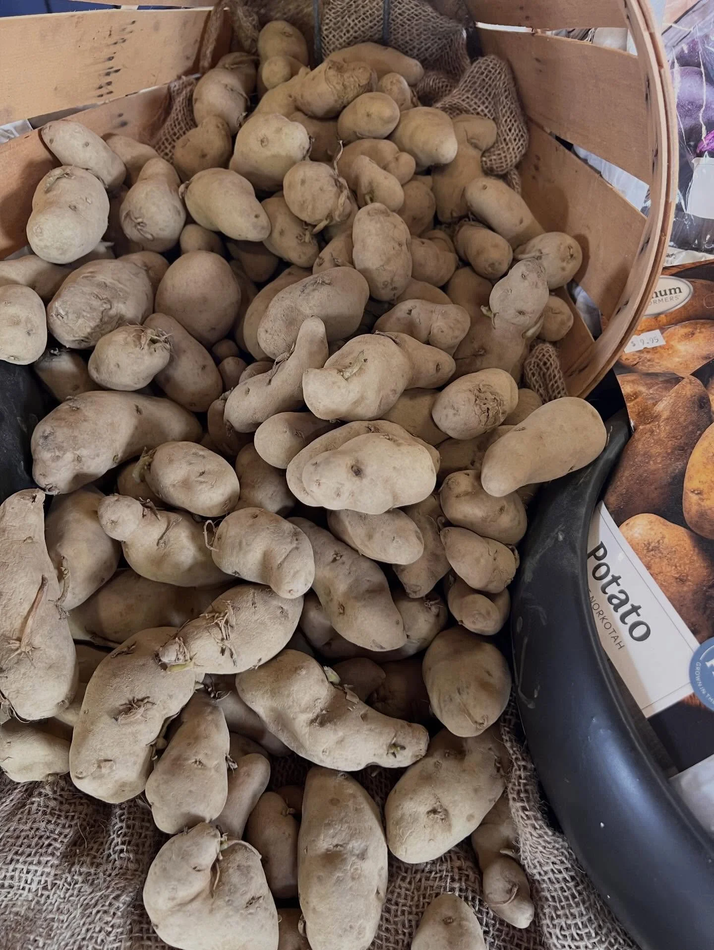 Some say potato, some say potahto&hellip;either way, we&rsquo;re here to help you grow something good for dinner with our&hellip;
🥔SEED 🥔 POTATOES 

1. Not actually seeds but are small potatoes (or cut pieces) used to grow new plants

2. Each &ldqu