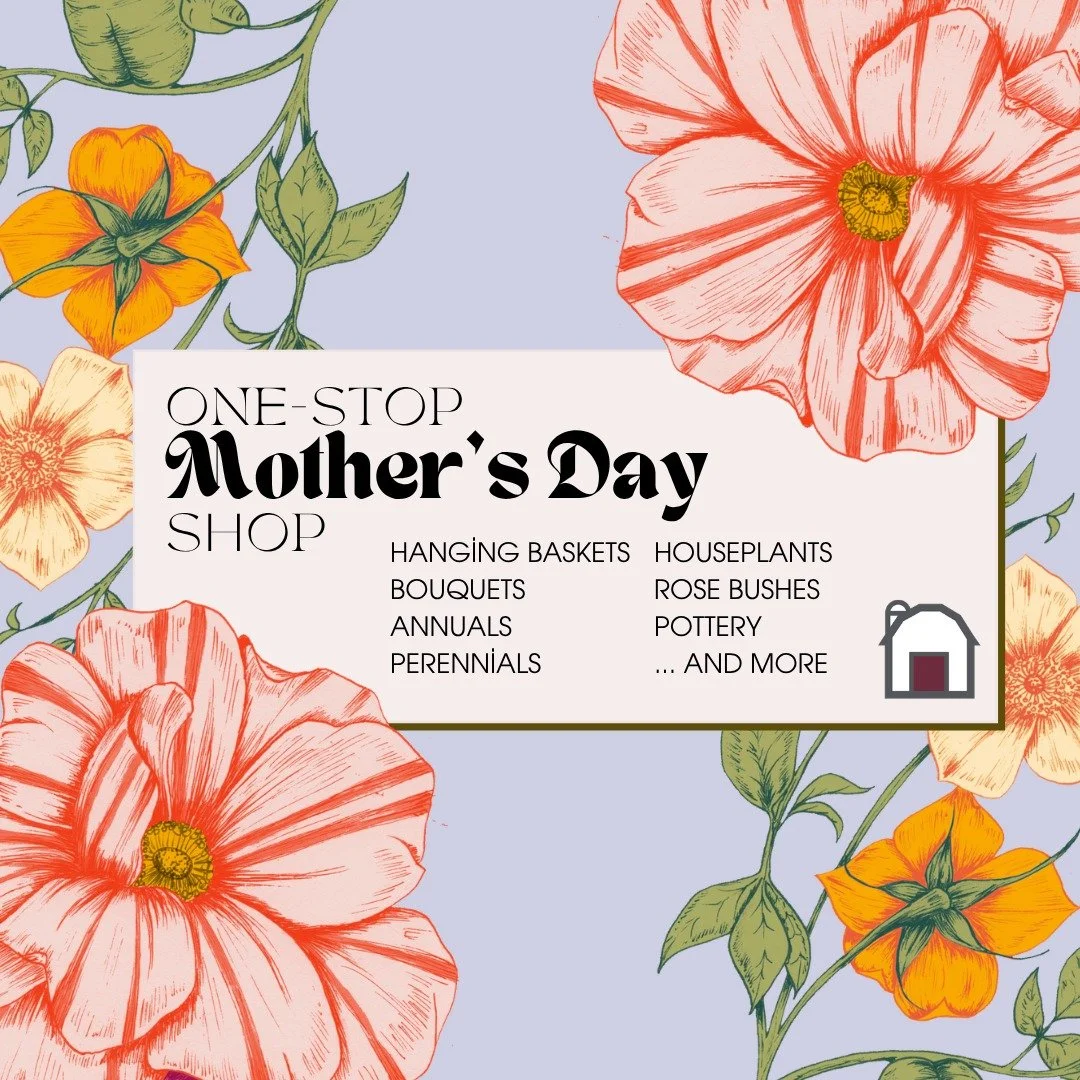 Farmside Gardens is your One-Stop Mother's Day Shop! Pick up something special for mom, or treat her to a shopping spree. The garden center is just BURSTING with color right now, there is so much to choose! We're open weekdays til 6 pm this week, or 