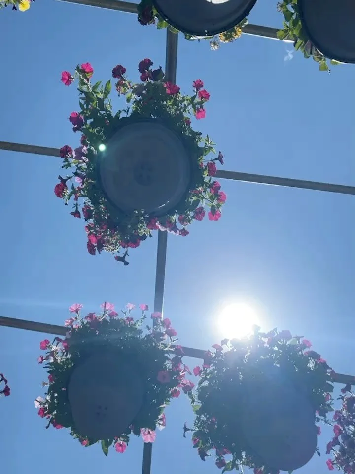 Ohhhhhh the Monday morning heat has hit ✨ 💥 
The flowers are happy and watered and showing off in the very best way!

Come wander awhile, breathe it all in, and take a little joy home with you 🌺 🌹 🌼