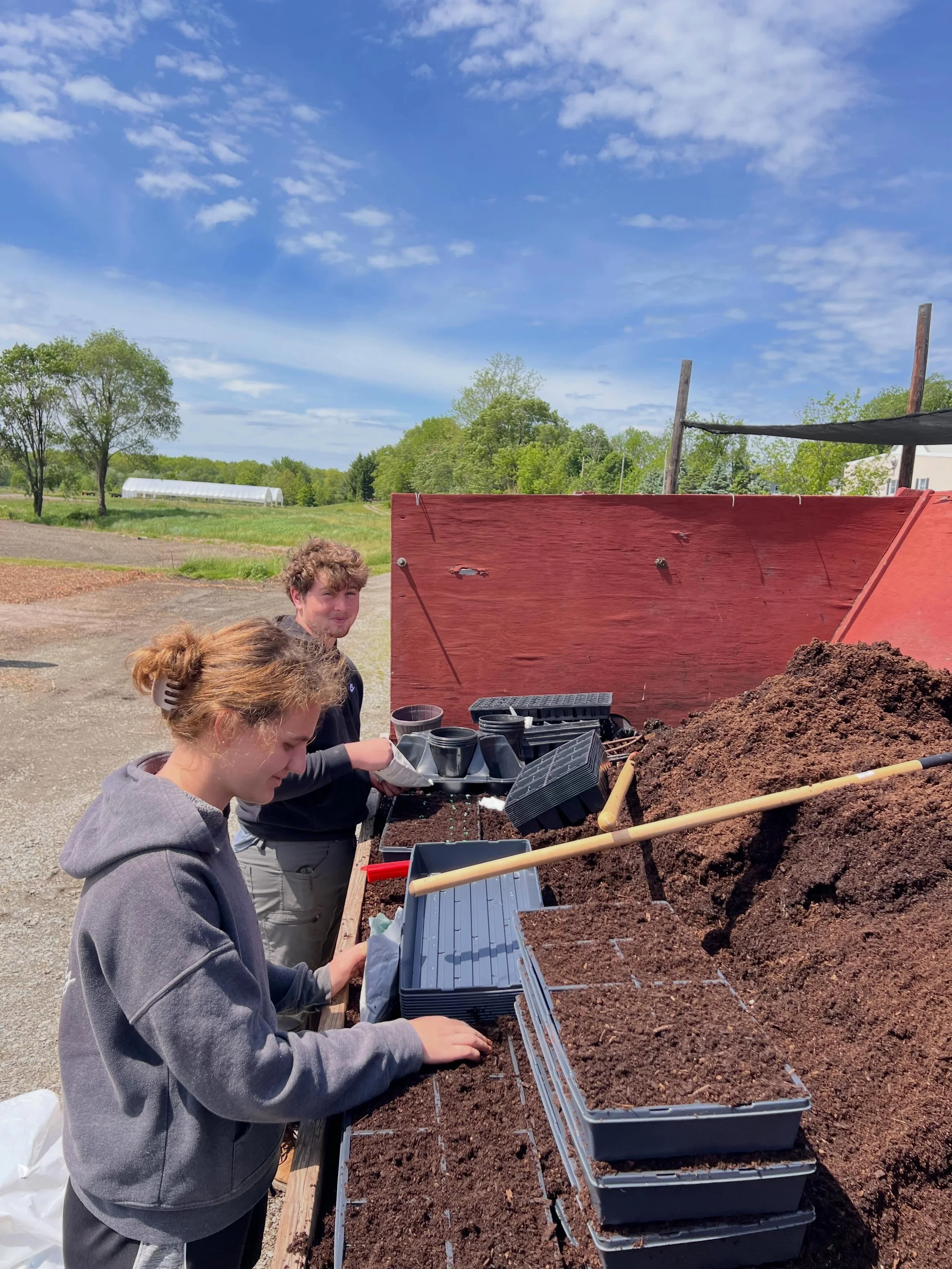 The seeding doesn&rsquo;t stop&hellip;one tray at a time!

#gardencenter #gardening #sussexcountynj #sussexcounty