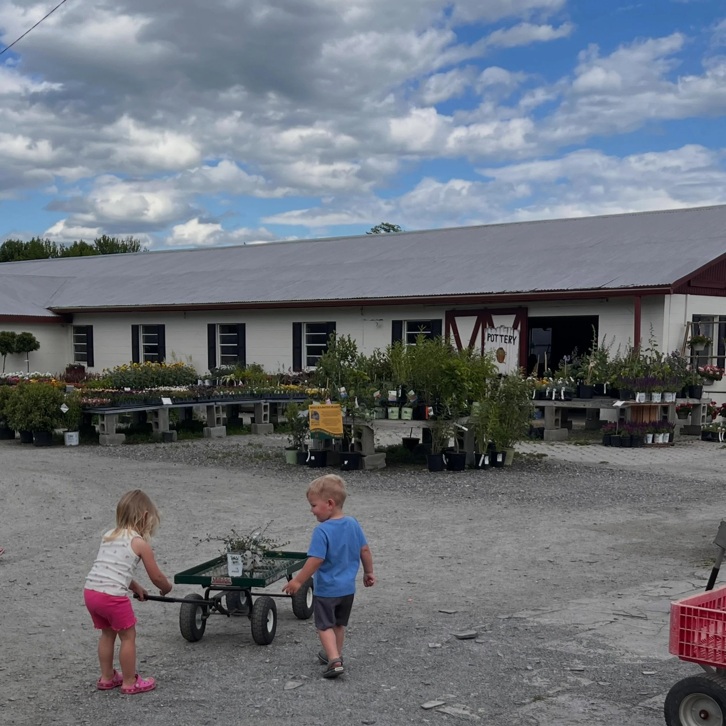 Just a couple of little gardeners pulling their own cart, picking out plants and making memories together 🌱🛒