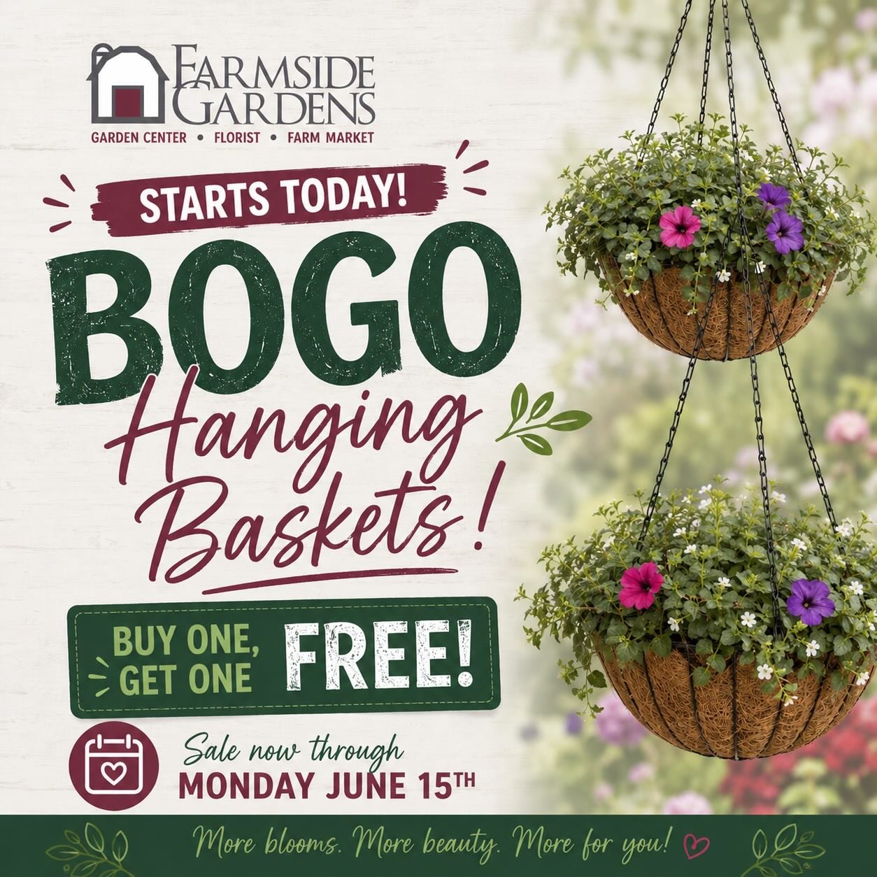 🌸 BOGO SALE Hanging Baskets! 🌸

Buy one, get one FREE&hellip; because the only thing better than one hanging basket is two! 😉

Whether you&rsquo;re brightening up your front porch, patio, deck, or gifting one to a friend, now is the perfect time t