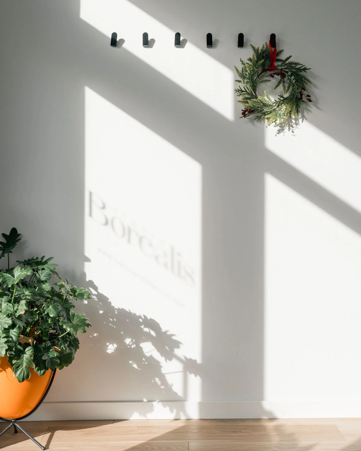 It&rsquo;s all bright, cheery, and merry over here at Studio Borealis.

The studio is open and ready for whatever you&rsquo;ve got going on, whether it's those minis you decided yesterday to offer, that one family who can only do a session on Christm