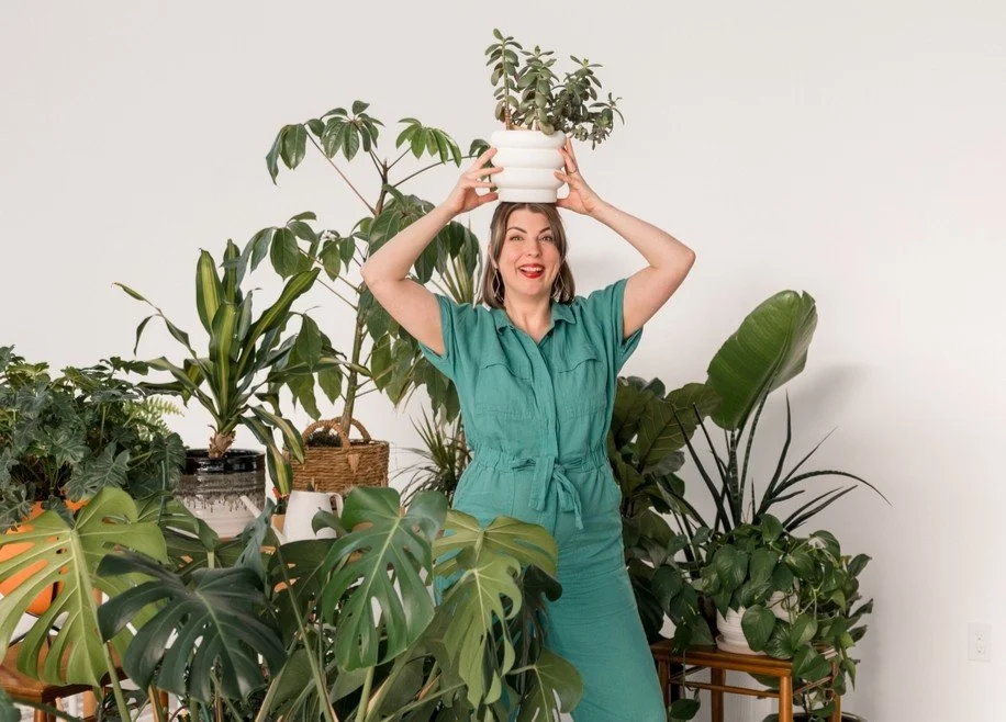 Plant obsessed? Um, same. 

At Studio Borealis, we have plants. Lots of plants. Too many plants? (Never)

Use one, three, or all of them in your next photoshoot.

Bonus? They even have names. Check the tags to see if you&rsquo;re working with Olga or